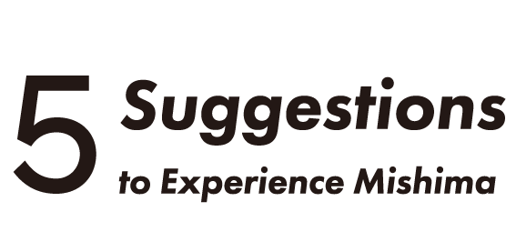 5 Suggestions
