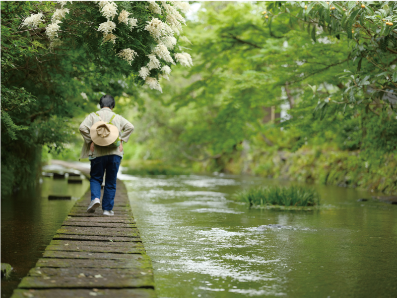 Genbe River Stepping stones