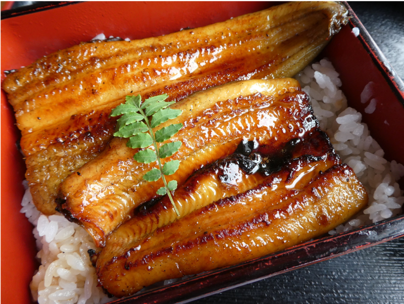 Unagi