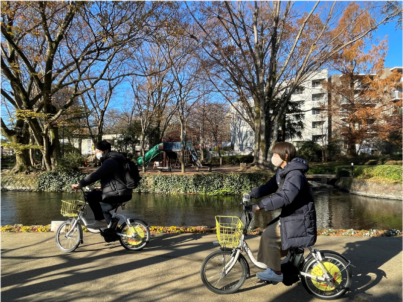 Harenohi Cycle