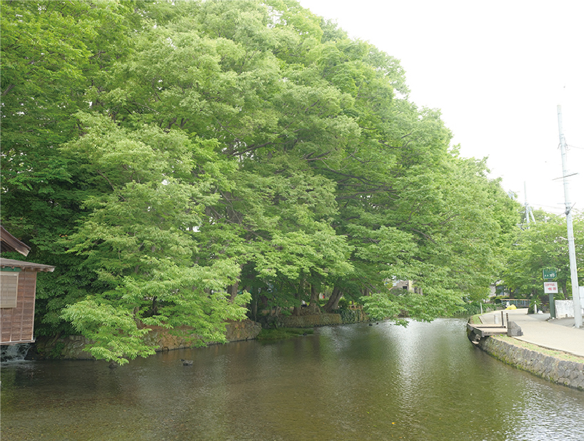 Shirataki Park_01