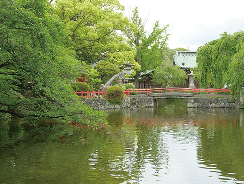 Mishima Taisha Shrine_04