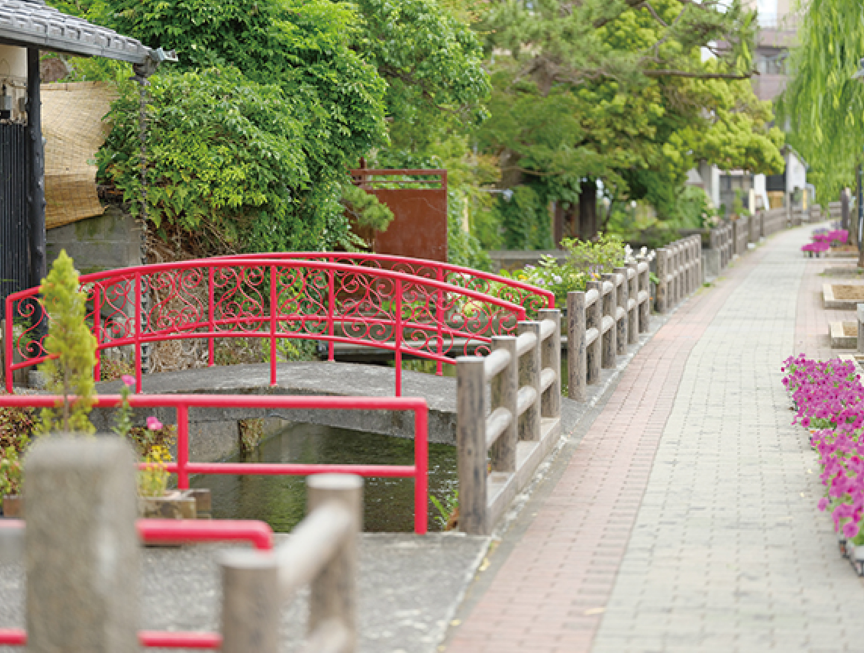 Sakura River