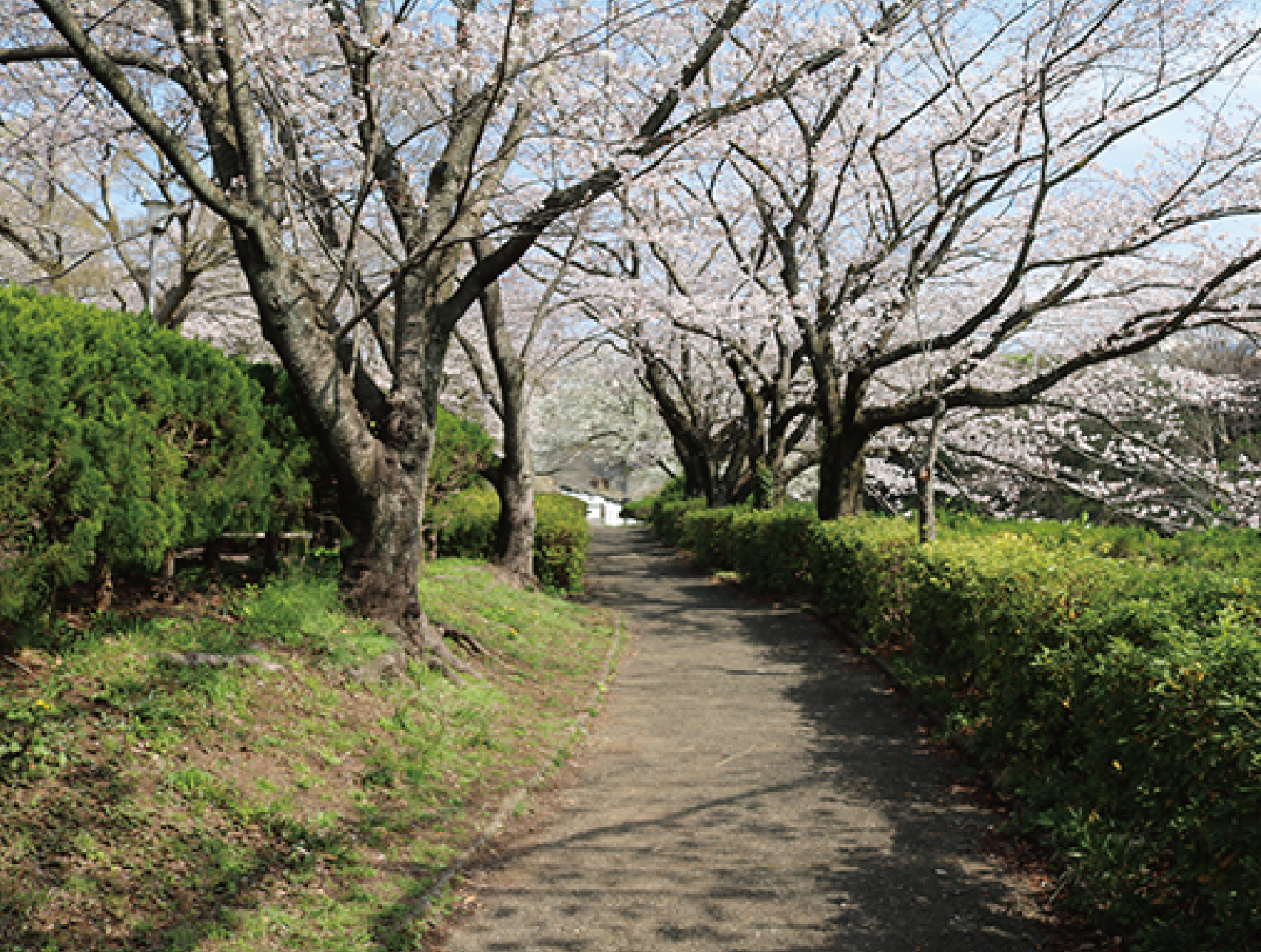 Kamiiwasaki Park