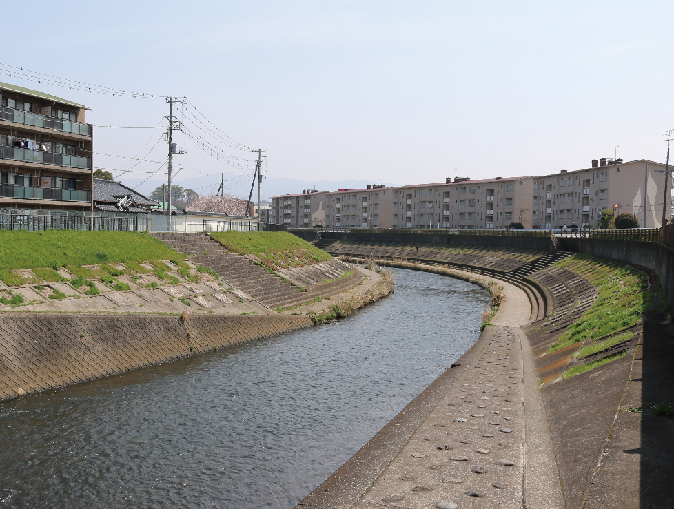 Daiba River